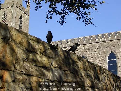 Keeping Watch